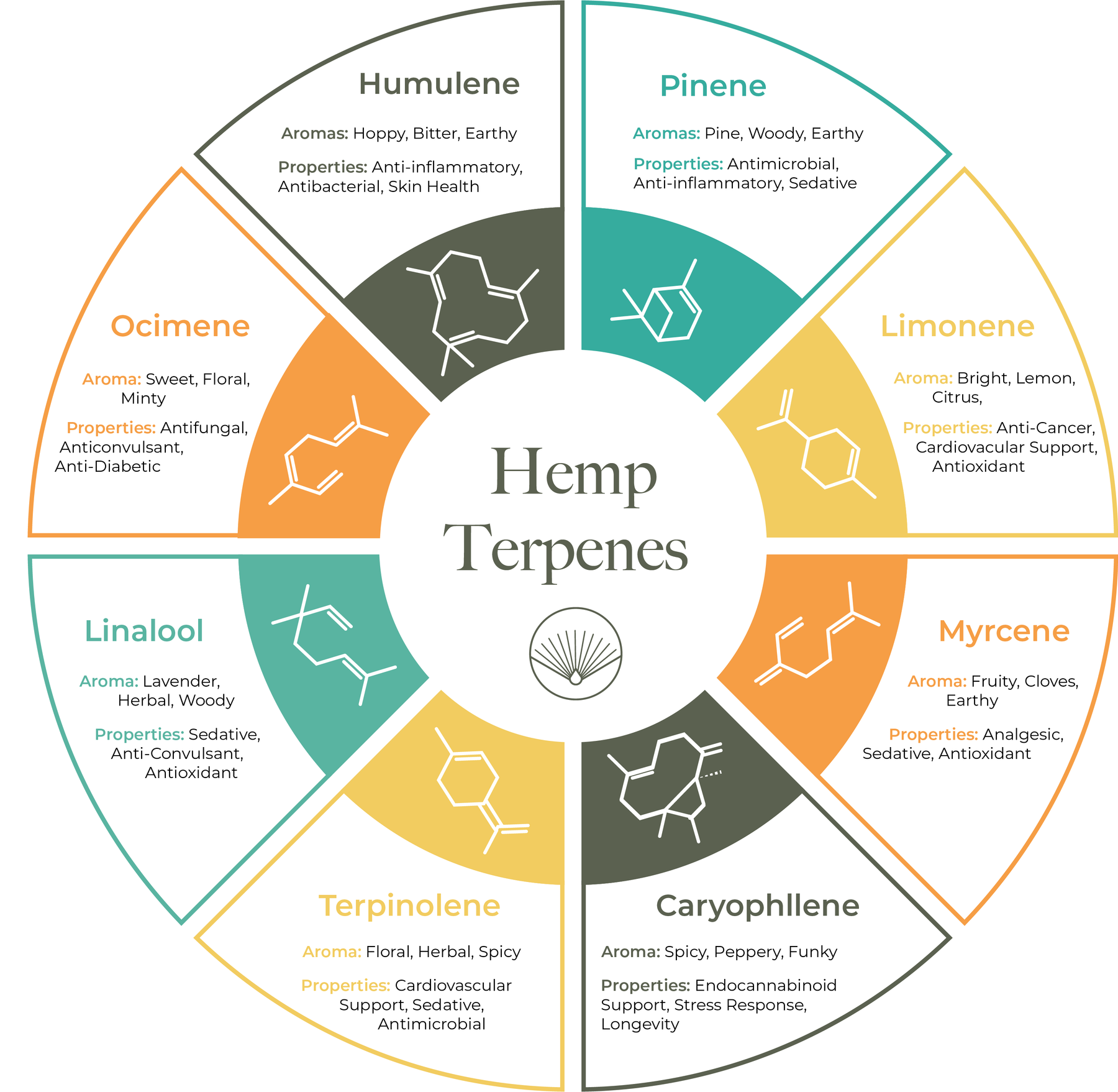 Therapeutic and Medicinal Uses of Terpenes