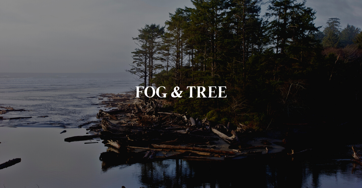 Fog & Tree