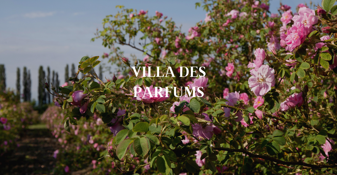 Villa des Parfums