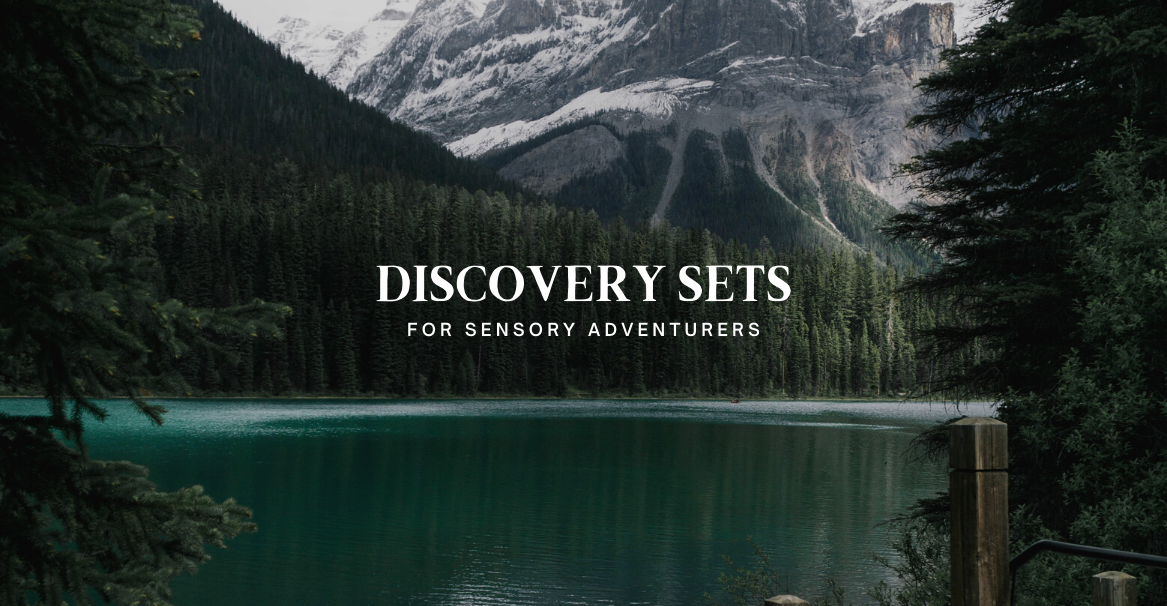 Discovery Sets