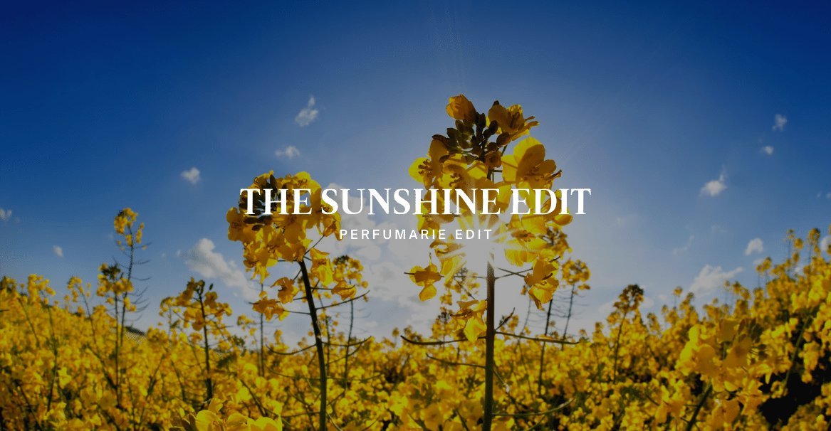 Discover The Sunshine Edit PERFUMARIĒ Retail Lab Incubator