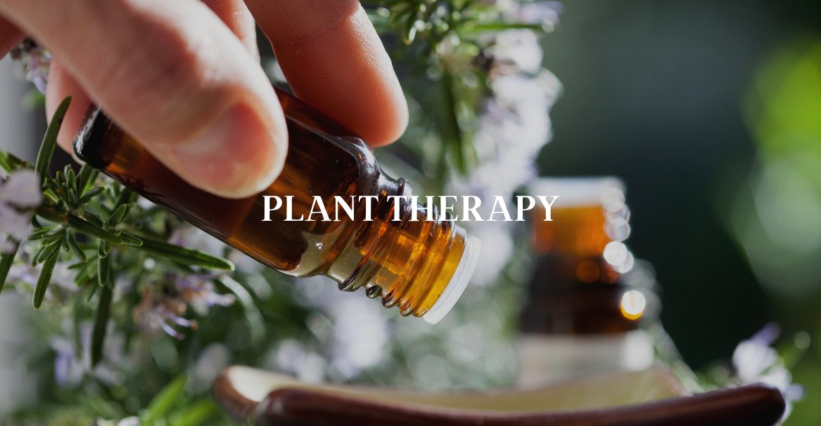 Explore Plant Therapy at Perfumarie
