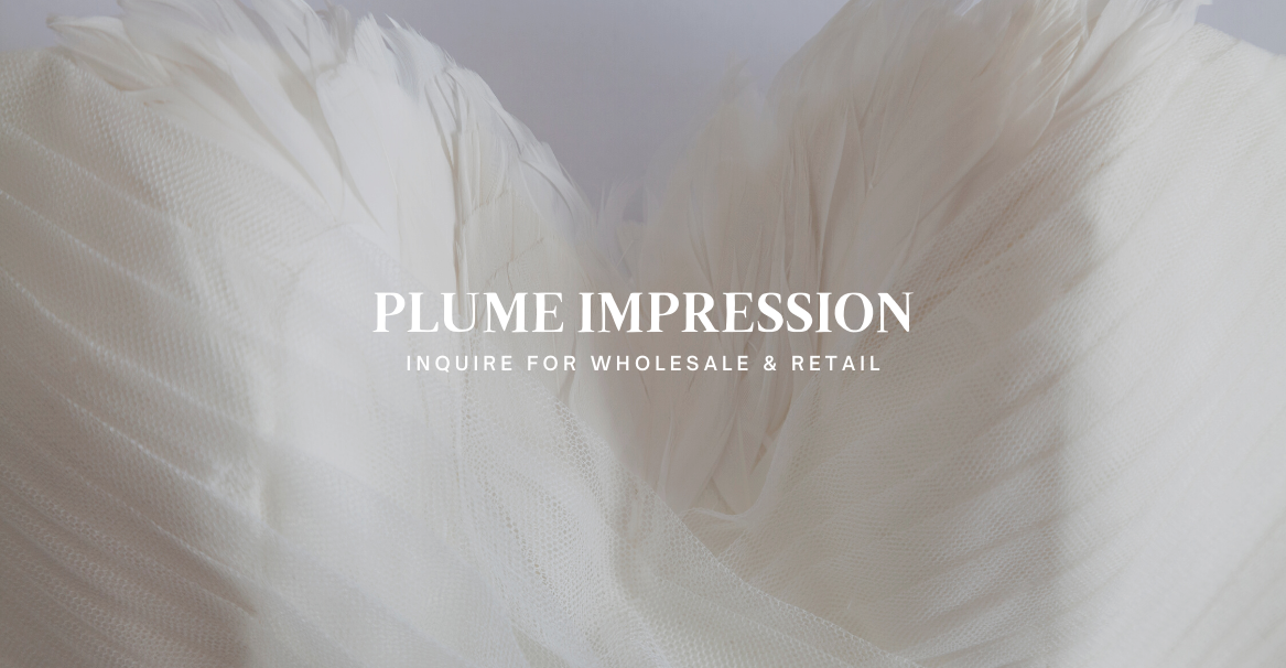 Explore Plume Impression at Perfumarie