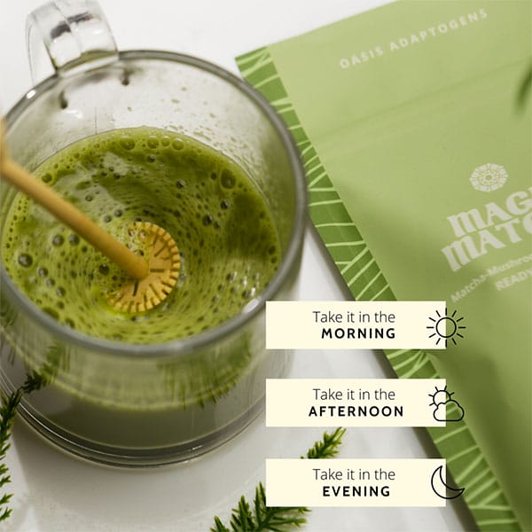 Magic Matcha by Oasis Adaptogens