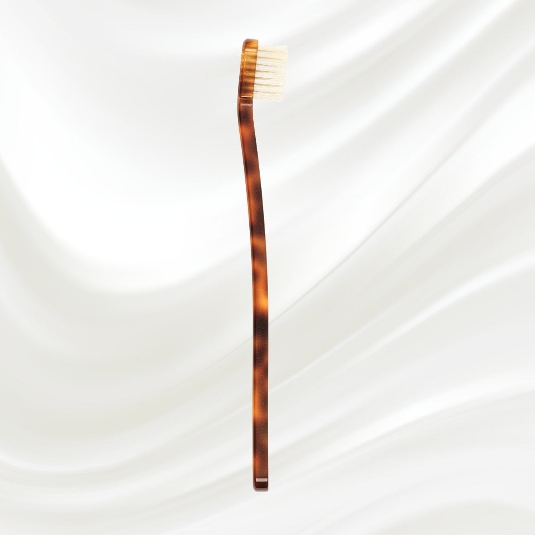 Coccola Toothbrush with Natural Bristles - Medium by KOH-I-NOOR Beauty USA