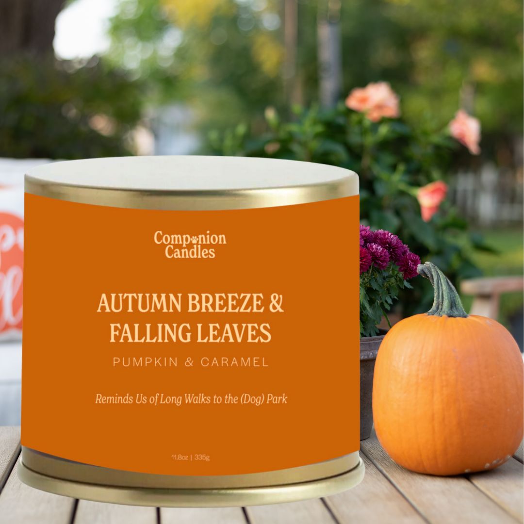 Autumn Breeze & Falling Leaves // Pumpkin & Caramel by Companion Candles