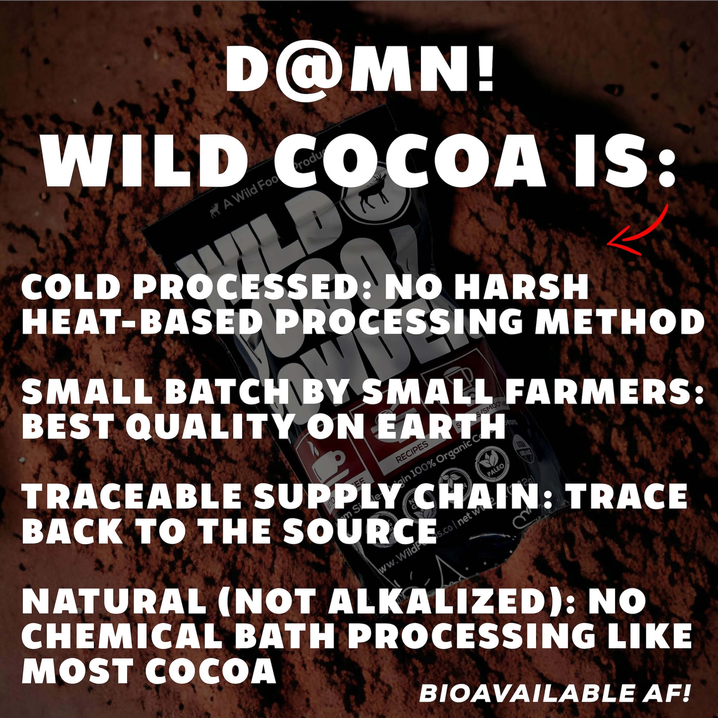 Wild Cocoa Powder - Organic from Peru, Single-Origin, Small farmers by Wild Foods