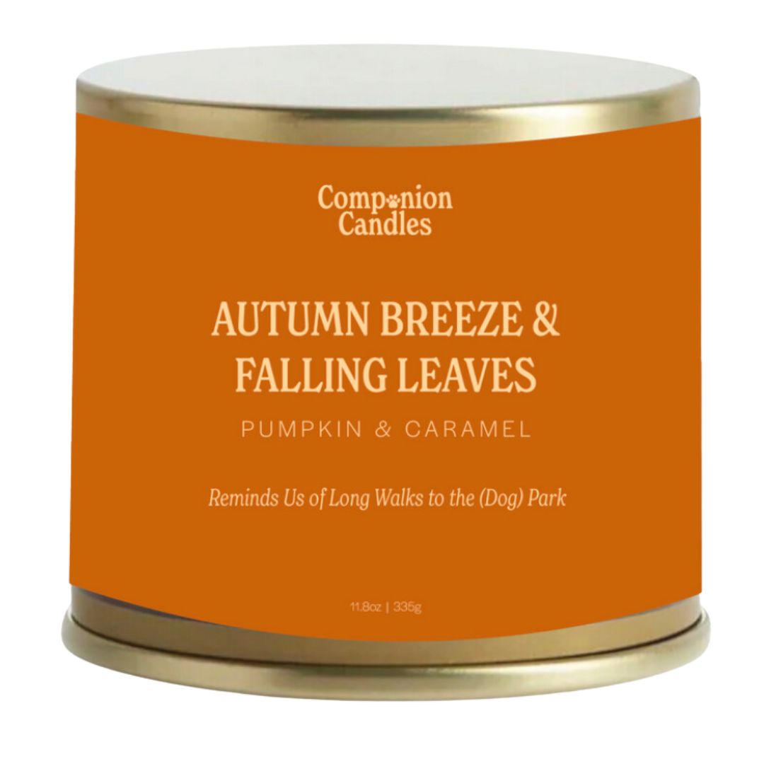 Autumn Breeze & Falling Leaves // Pumpkin & Caramel by Companion Candles