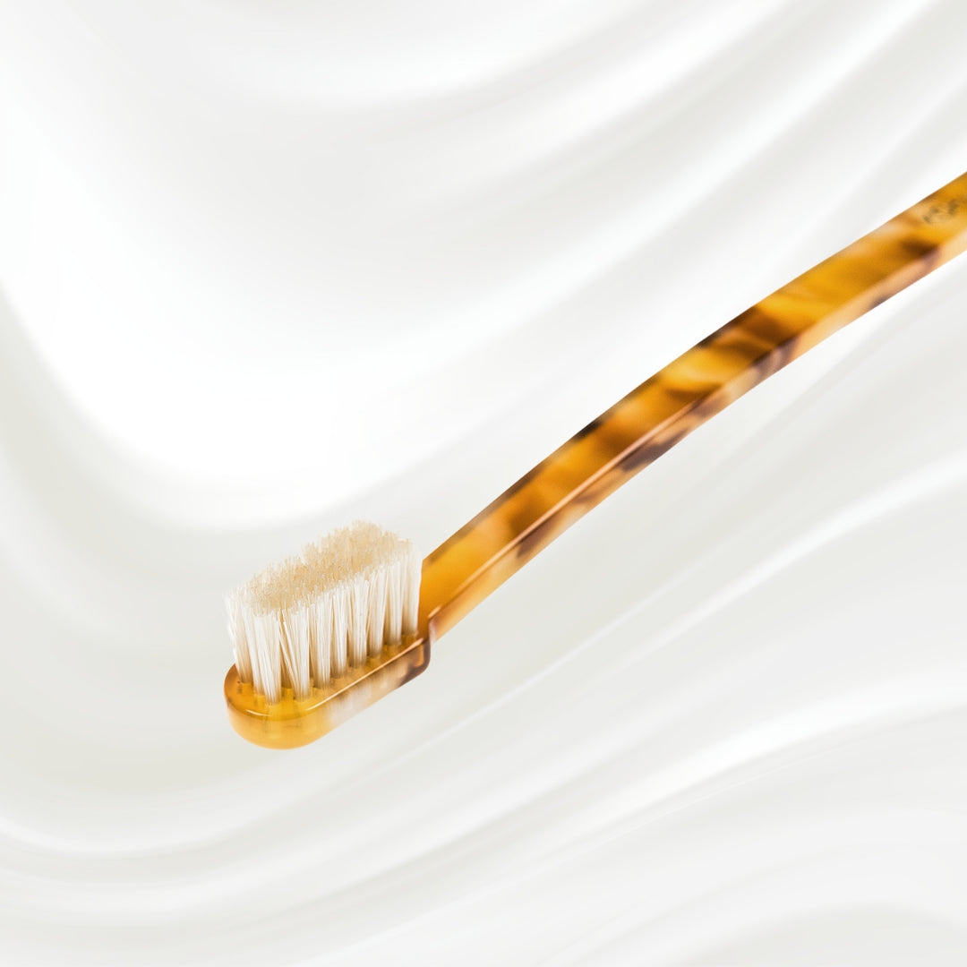 Coccola Toothbrush with Natural Bristles - Medium by KOH-I-NOOR Beauty USA