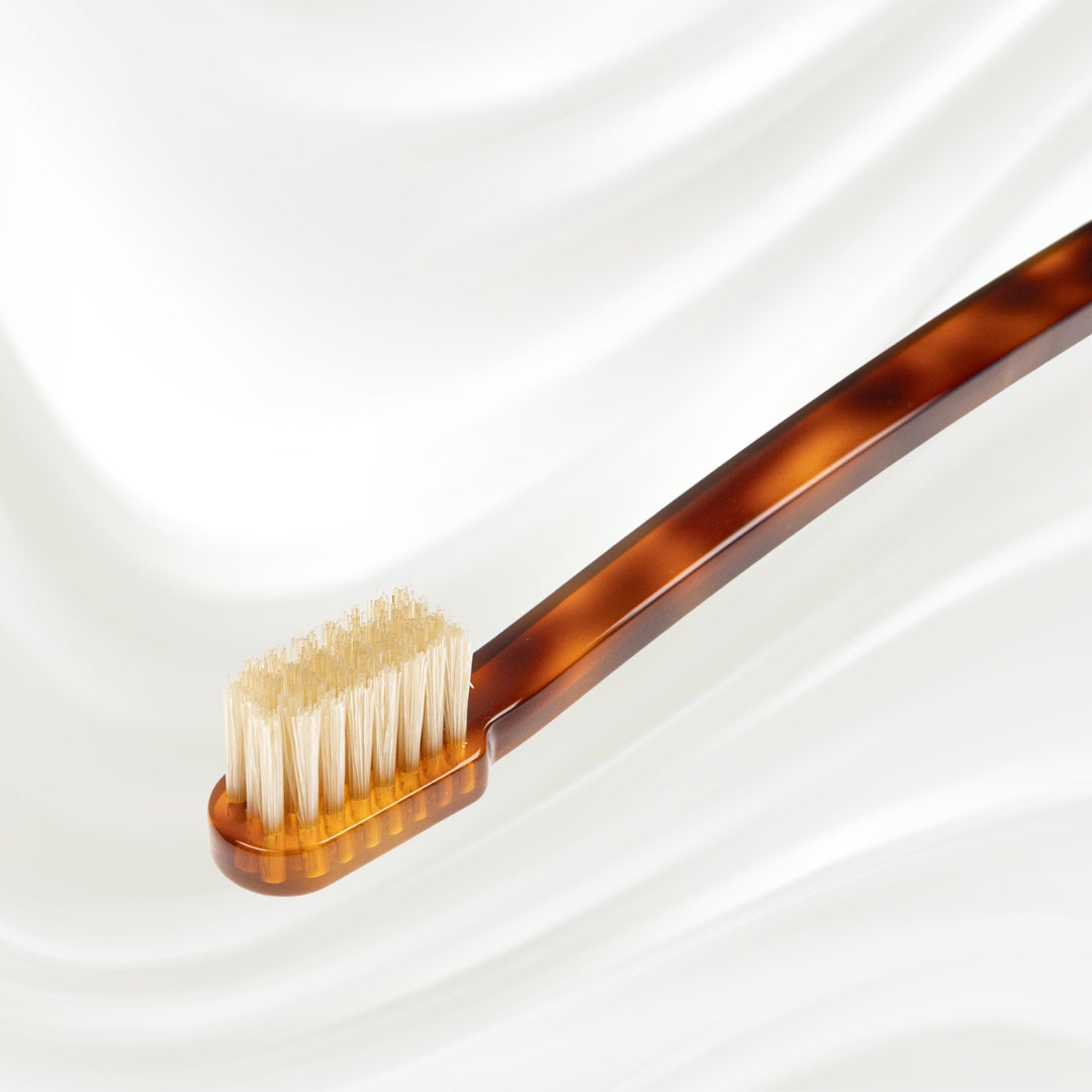 Coccola Toothbrush with Natural Bristles - Medium by KOH-I-NOOR Beauty USA