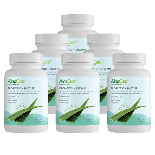 Pre+Probiotic & Digestive Enzyme Blend by AloeCure