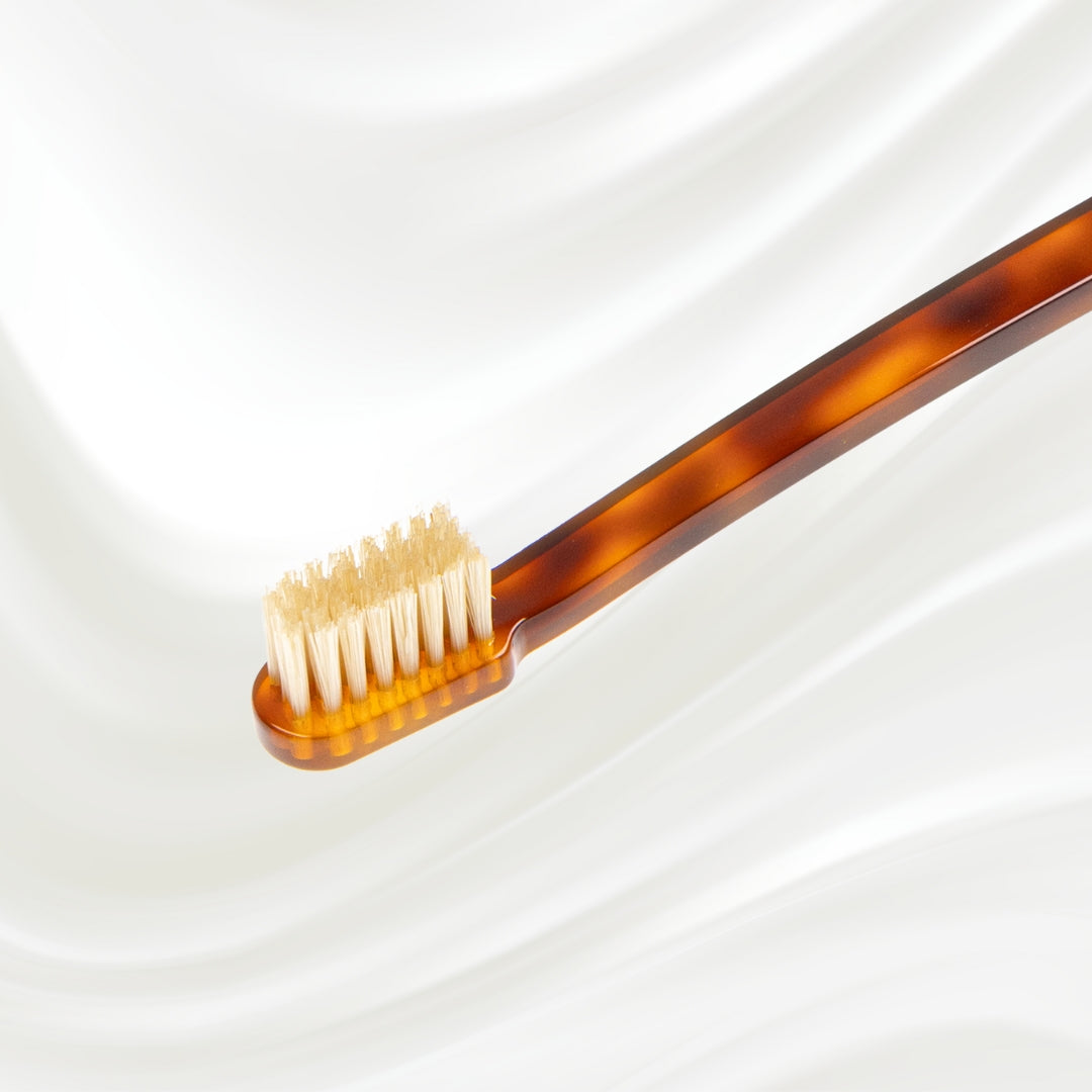 Coccola Toothbrush with Natural Bristles - Medium by KOH-I-NOOR Beauty USA