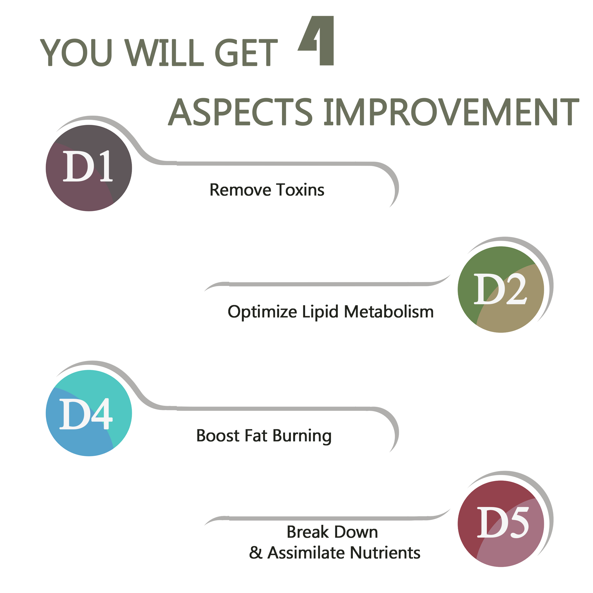 Digestive Conditioning Set by A Quality Life Nutrition