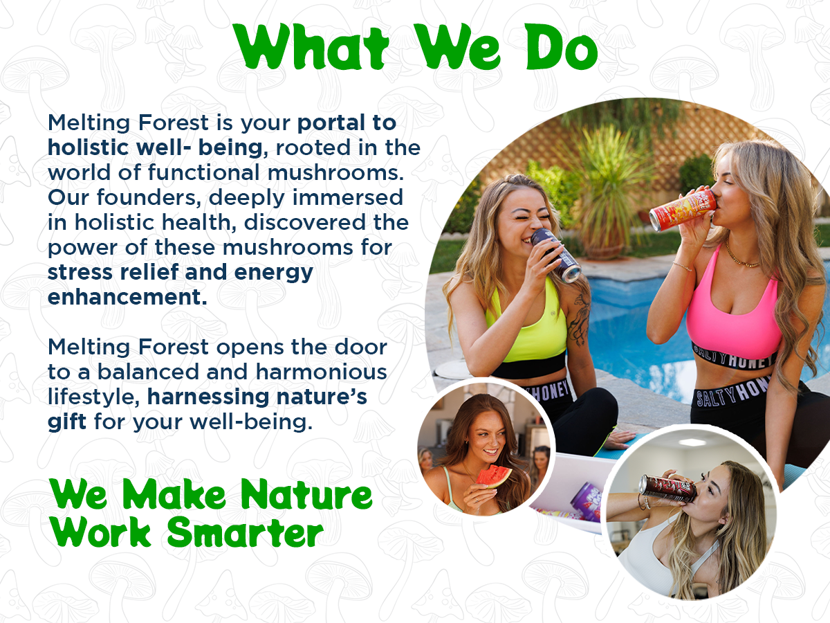 Mushroom Energy Drink 12 Pack - Mango Guava by Melting Forest