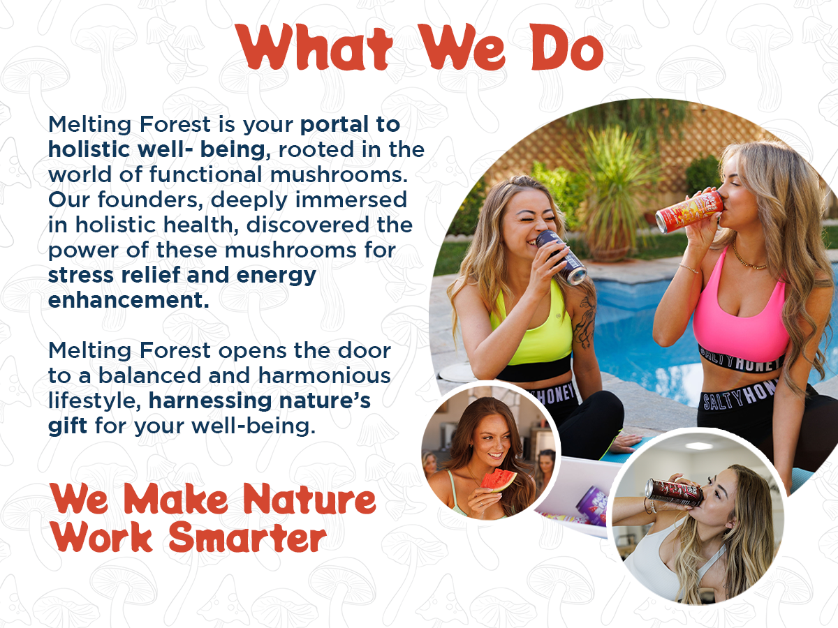 Mushroom Energy Drink 12 Pack - Orange Cream by Melting Forest