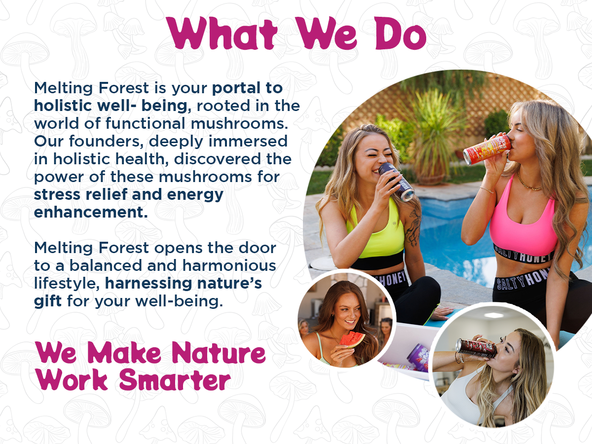 Mushroom Energy Drink 12 Pack - Strawberry Lemonade by Melting Forest