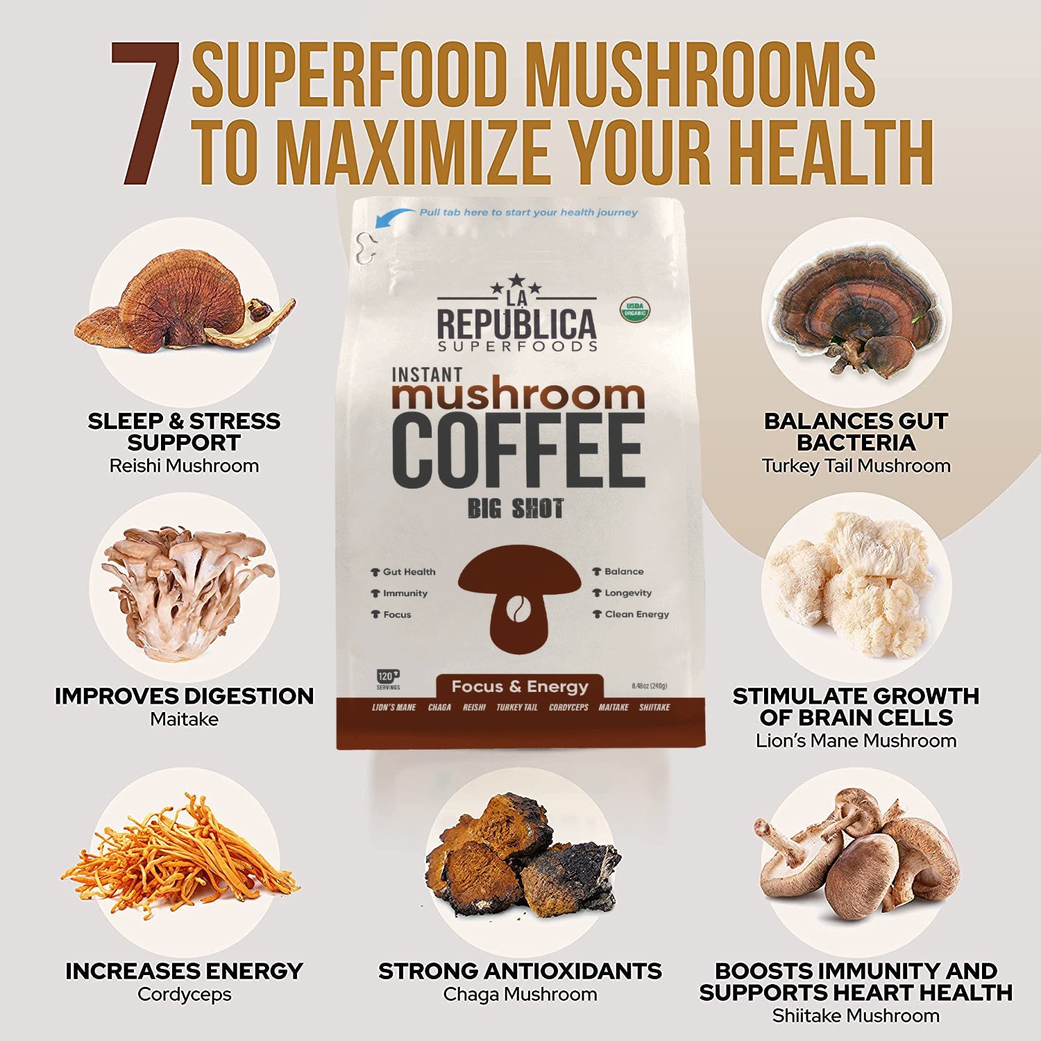 BIG SHOT INSTANT MUSHROOM COFFEE by La Republica Superfoods