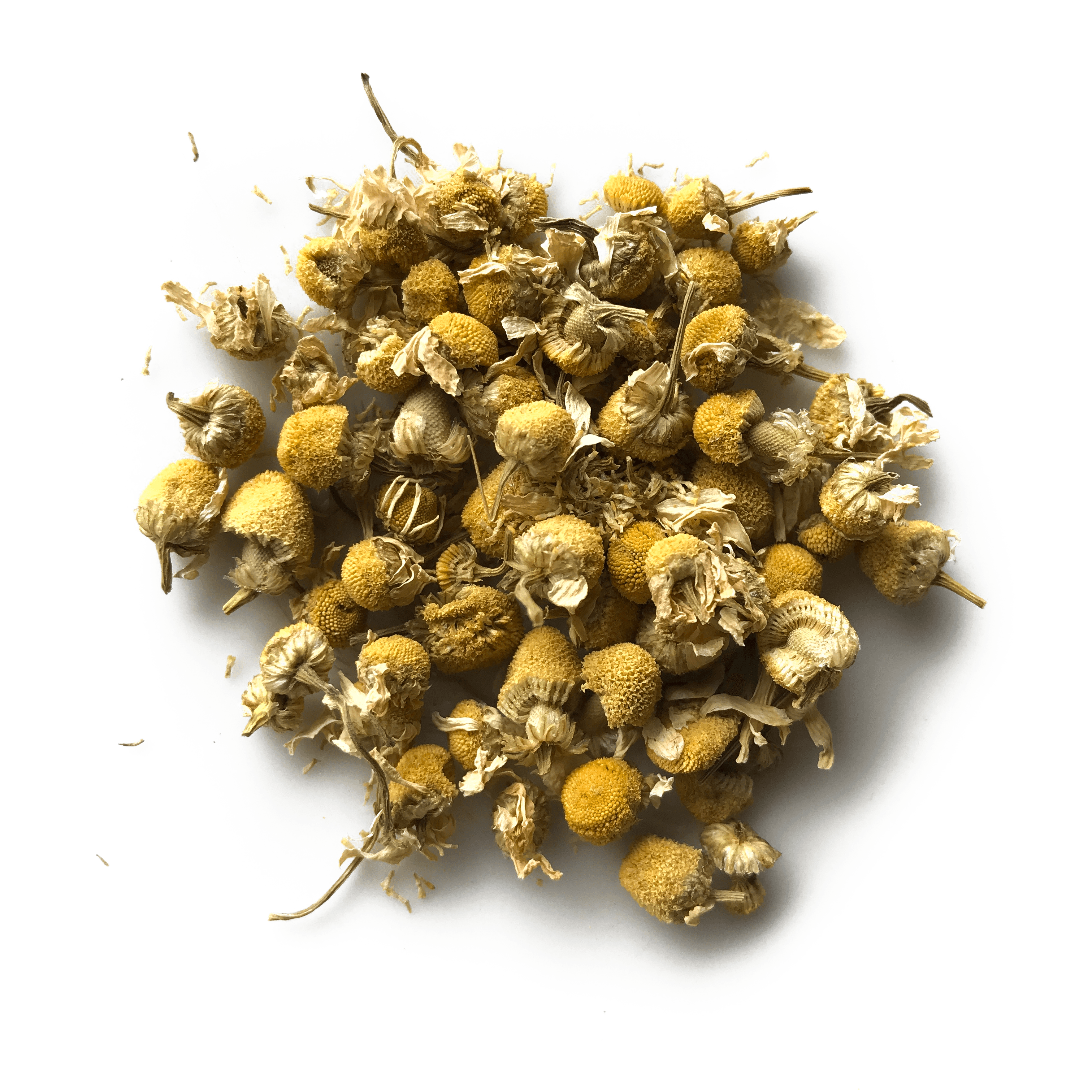 Chamomile Flowers by Open Door Tea CT