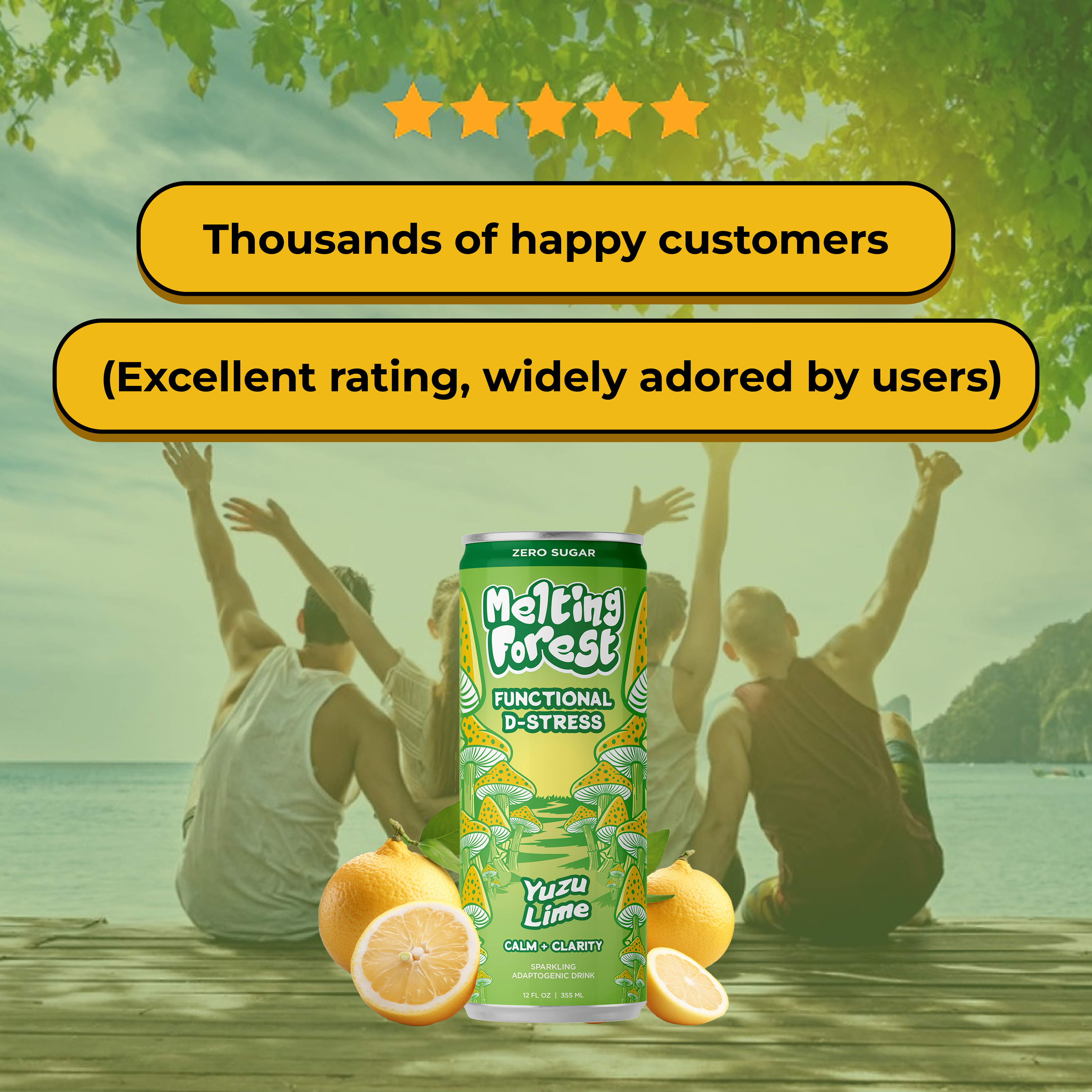 Mushroom D-Stress Drink 12 Pack - Yuzu Lime by Melting Forest