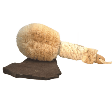  Ayurvedic Dry Brush by Come Alive Herbals Come Alive Herbals Perfumarie