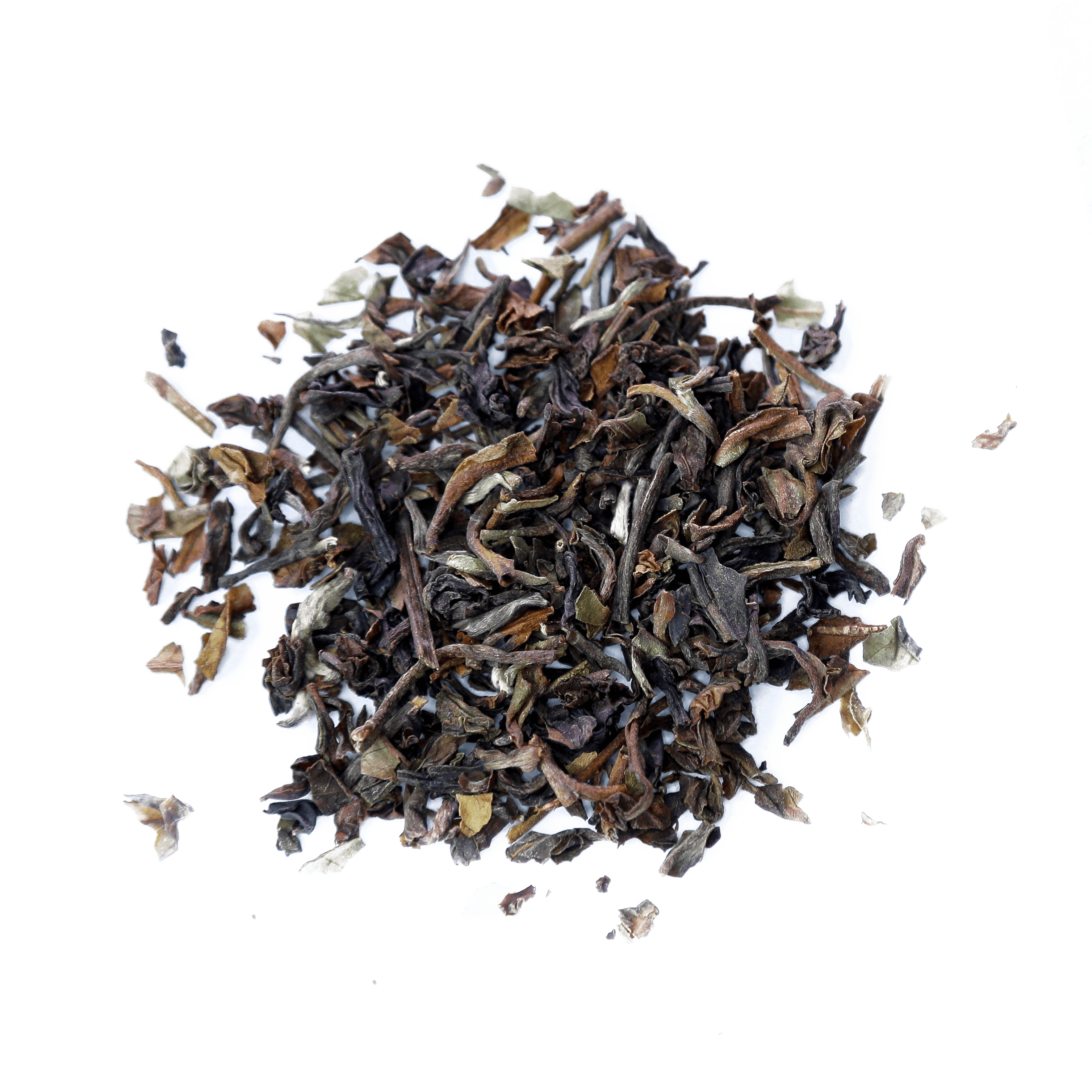 Darjeeling by Open Door Tea CT