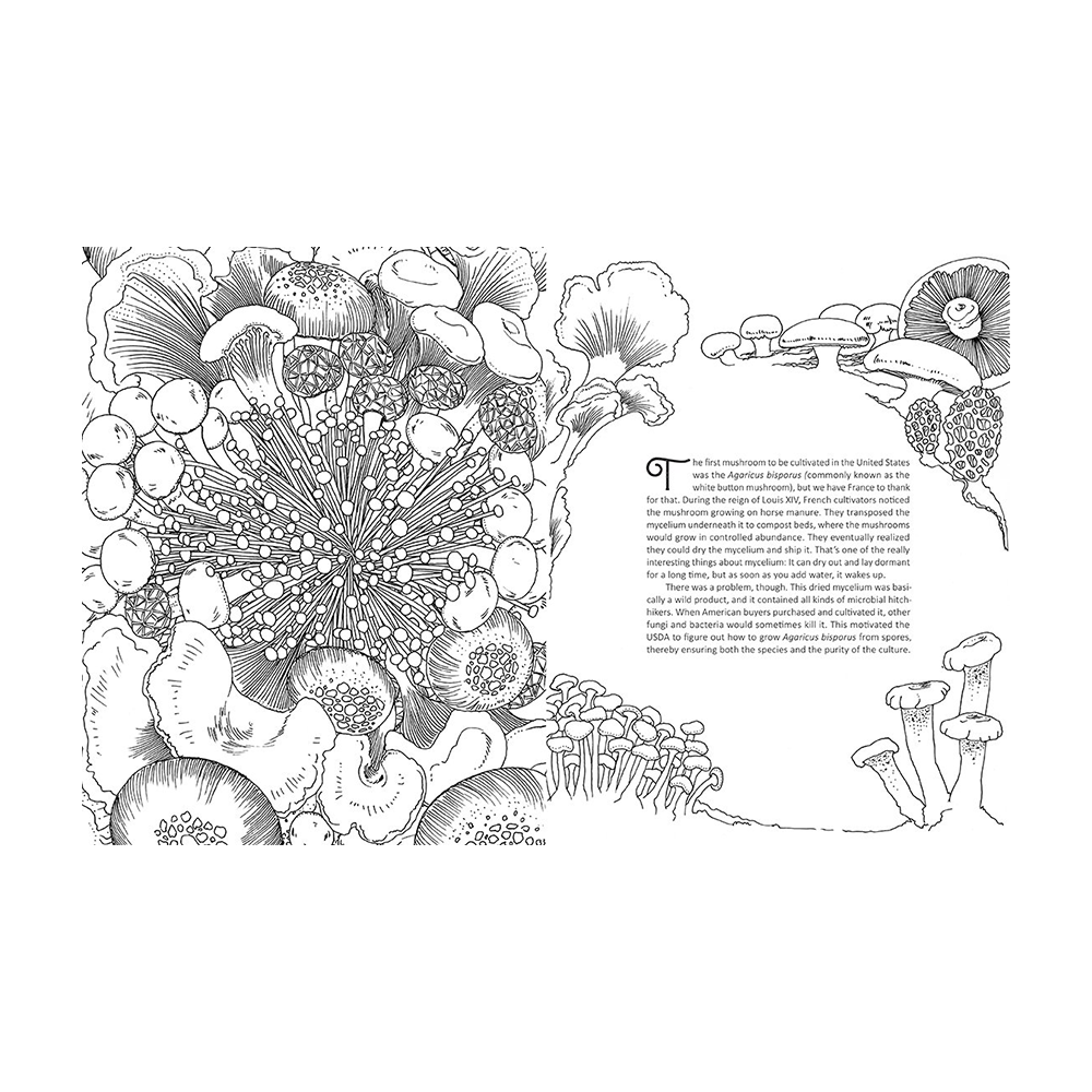 Fantastic Fungi Coloring Book by Fantastic Fungi
