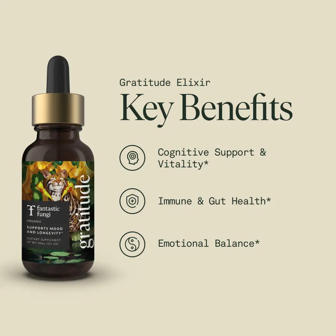 Gratitude Elixir by Fantastic Fungi
