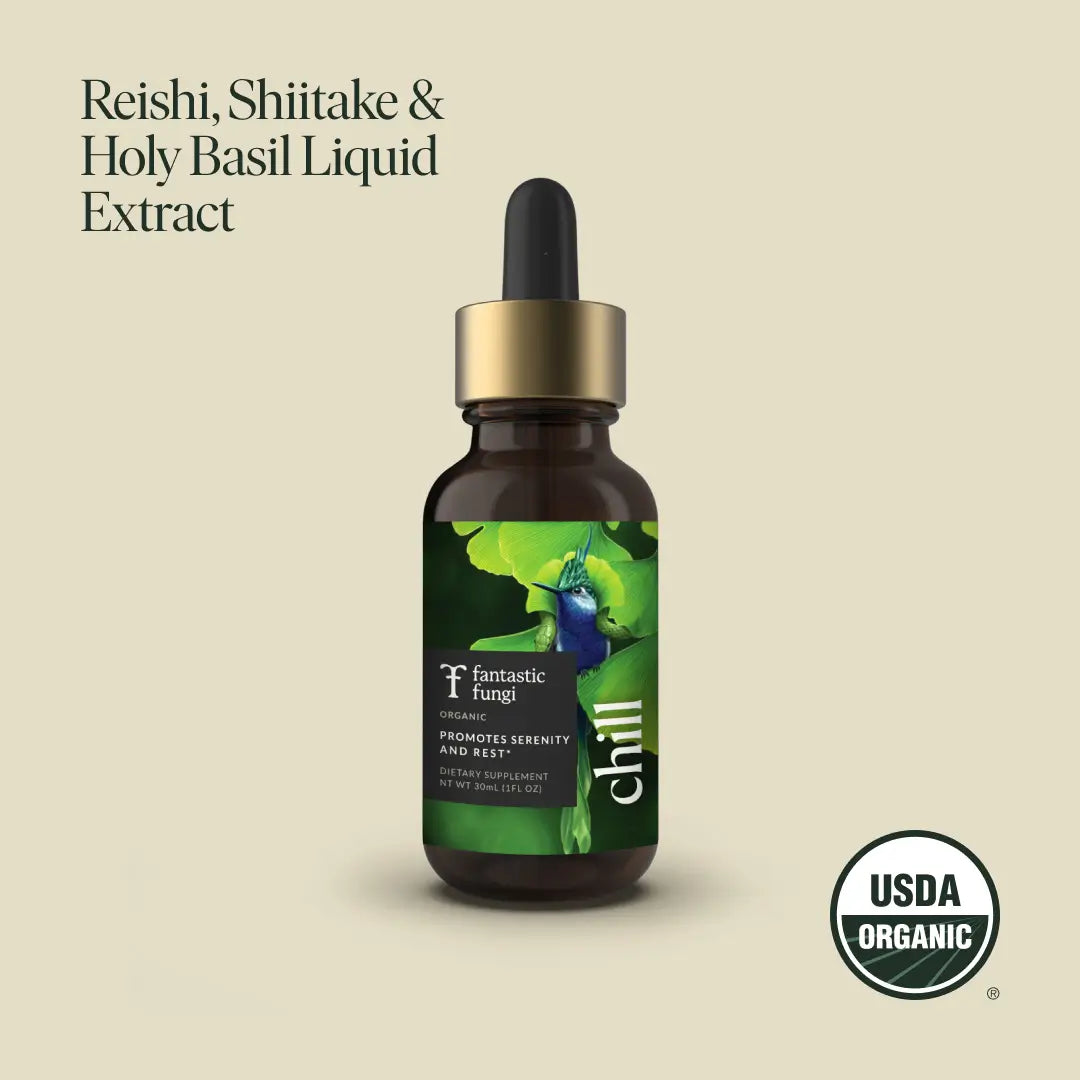 Chill Elixir by Fantastic Fungi