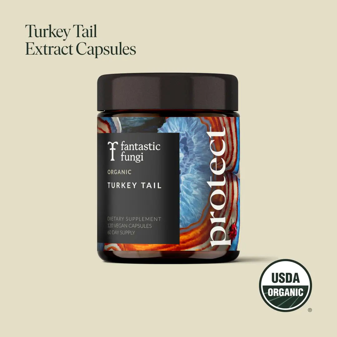 Protect Capsules by Fantastic Fungi