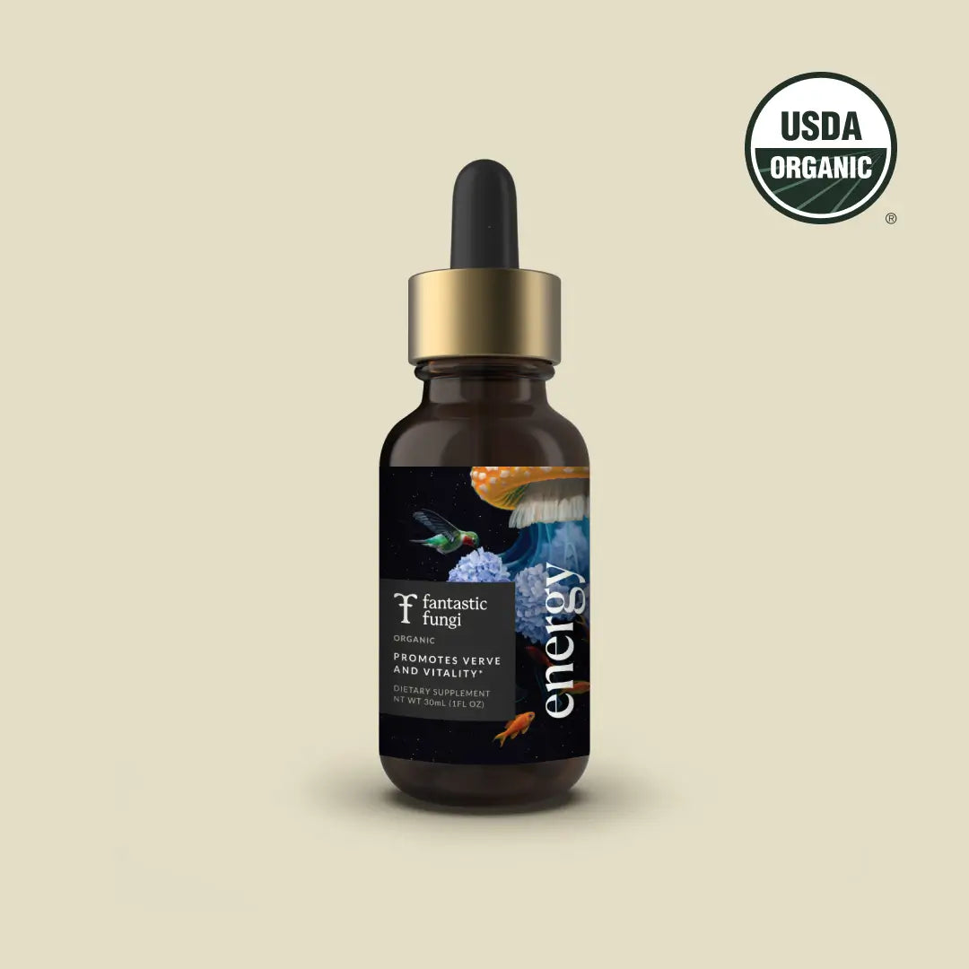 Energy Elixir by Fantastic Fungi