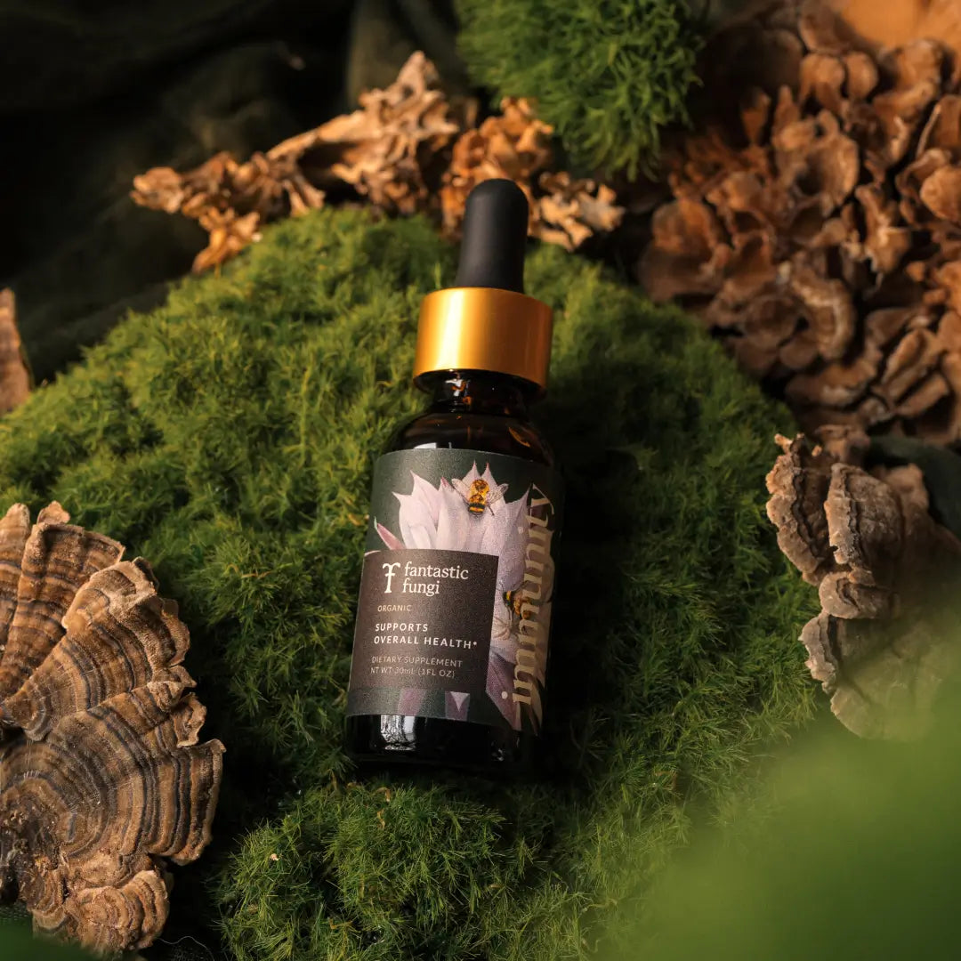 Immunity Elixir by Fantastic Fungi