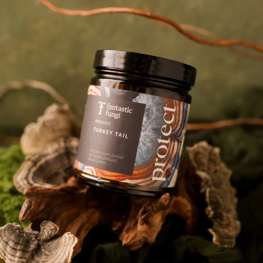 Protect Capsules by Fantastic Fungi