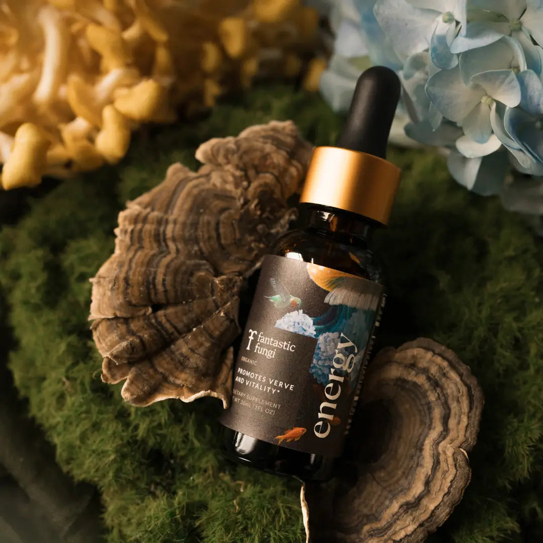 Energy Elixir by Fantastic Fungi