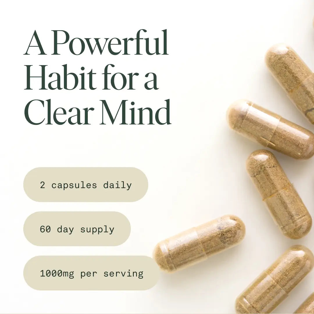 Mind Capsules by Fantastic Fungi