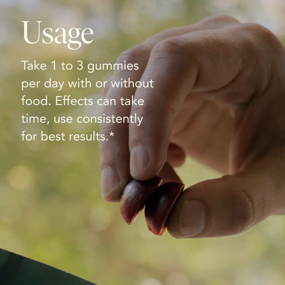 Memory Gummies by Fantastic Fungi