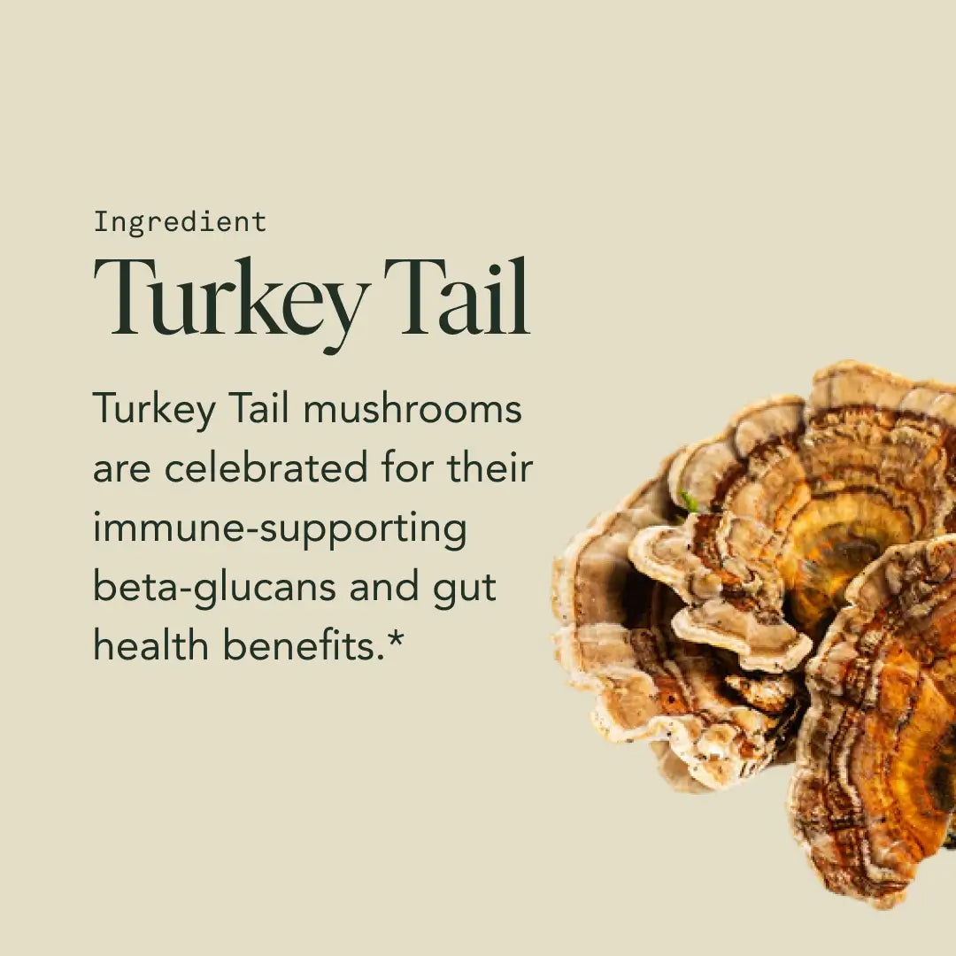 Protect Capsules by Fantastic Fungi