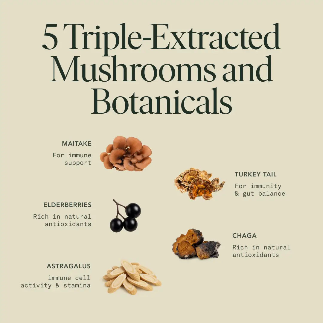 Immunity Elixir by Fantastic Fungi