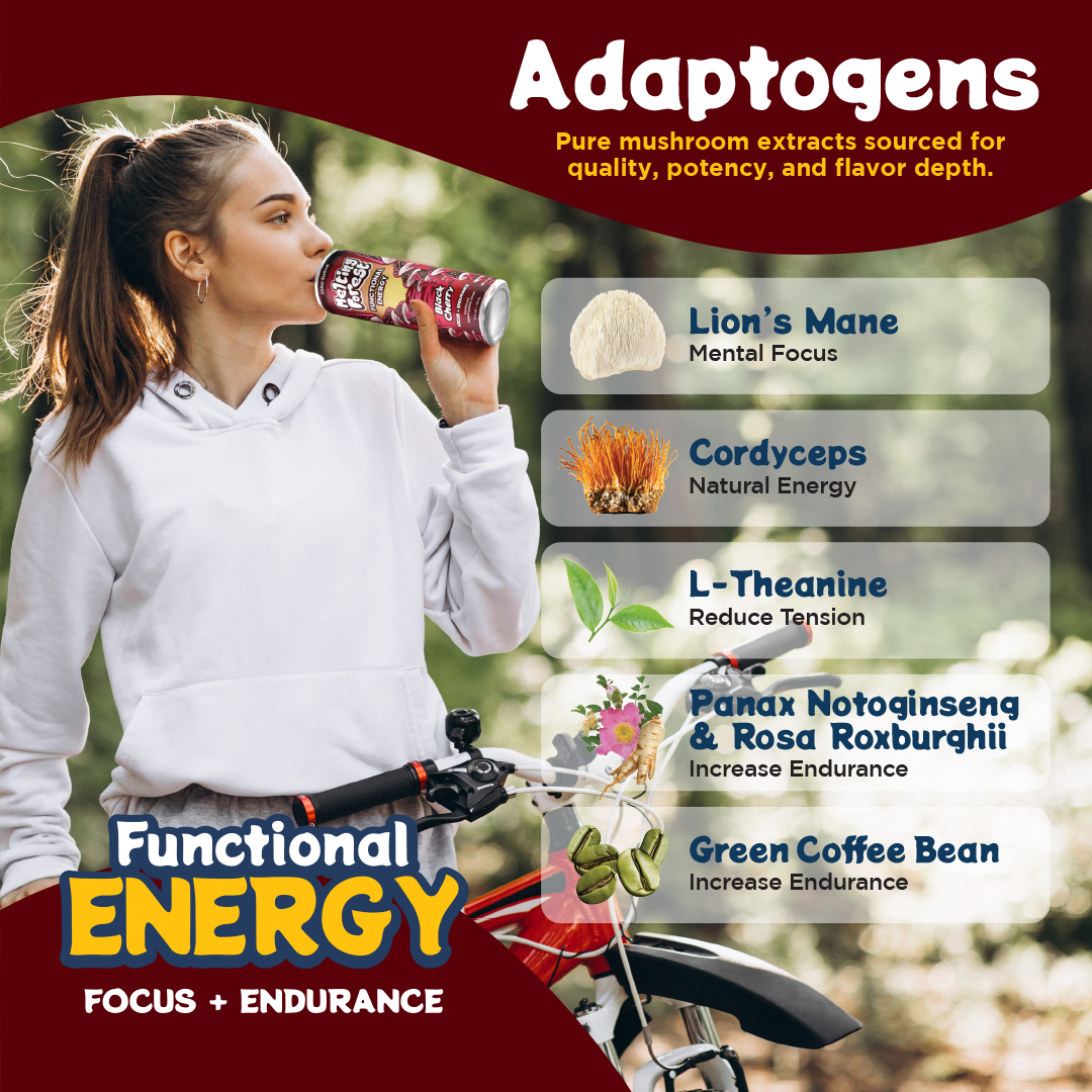 Mushroom Energy Drink 12 Pack - Black Cherry by Melting Forest