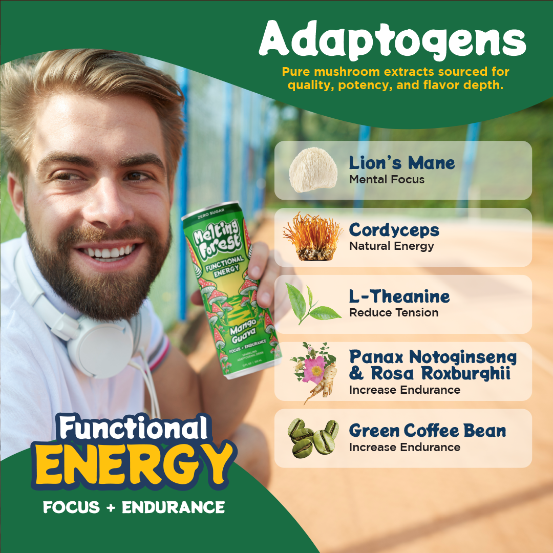 Mushroom Energy Drink 12 Pack - Mango Guava by Melting Forest