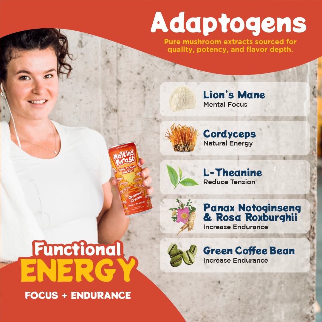 Mushroom Energy Drink 12 Pack - Orange Cream by Melting Forest