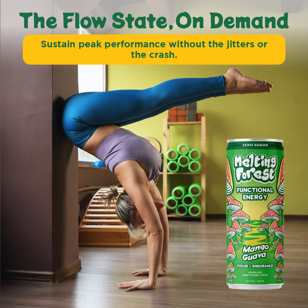 Mushroom Energy Drink 12 Pack - Mango Guava by Melting Forest