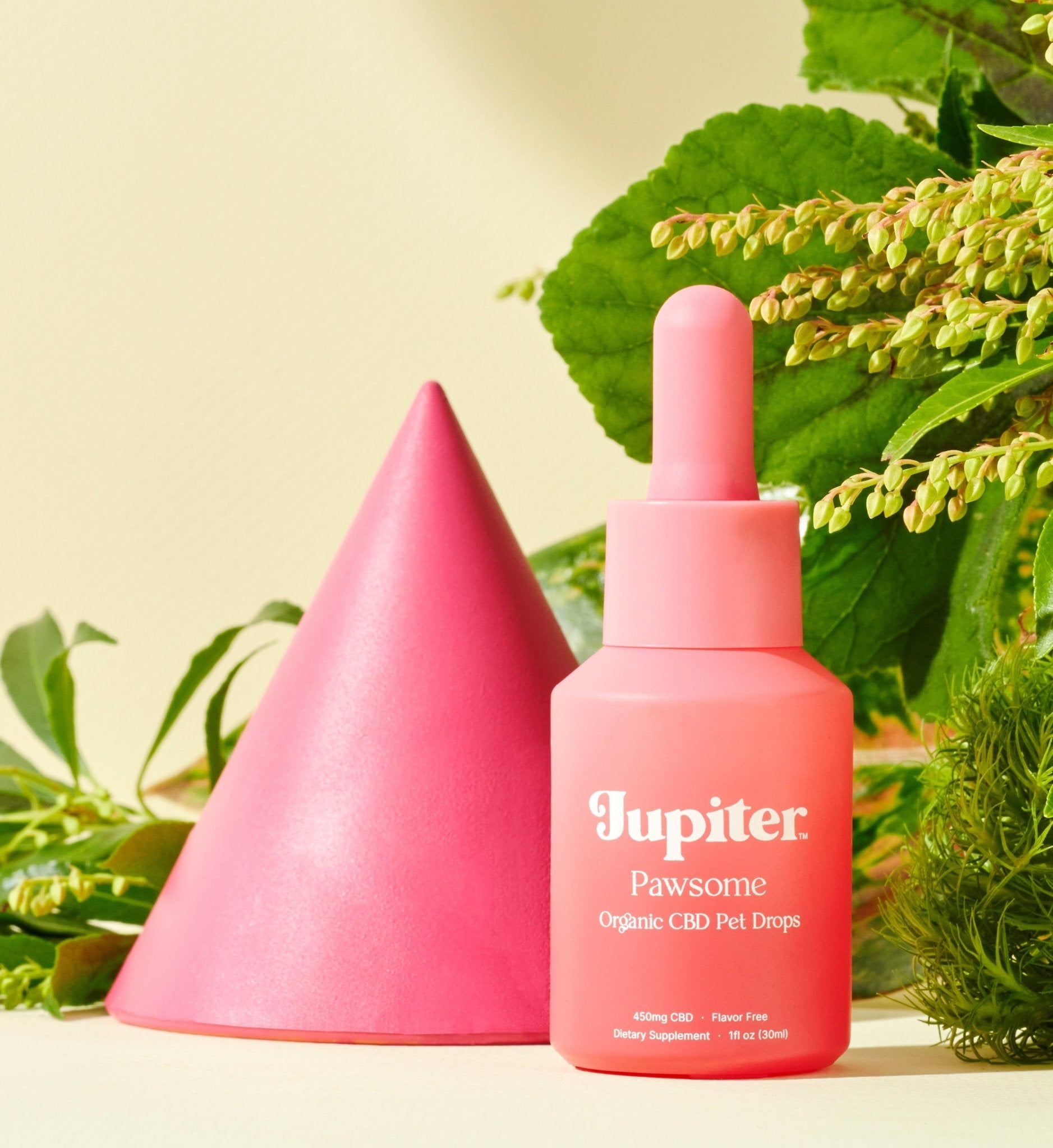 Pawsome - Organic CBD Pet Drops - Jupiter