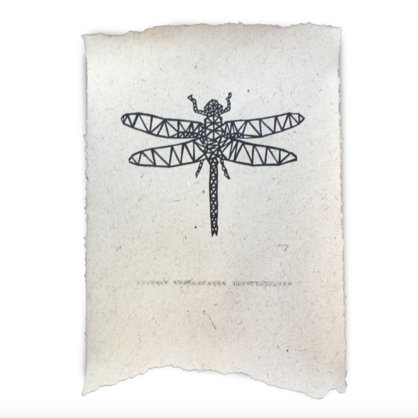 POSTER - DRAGONFLY - 2 sizes by Uniek Living