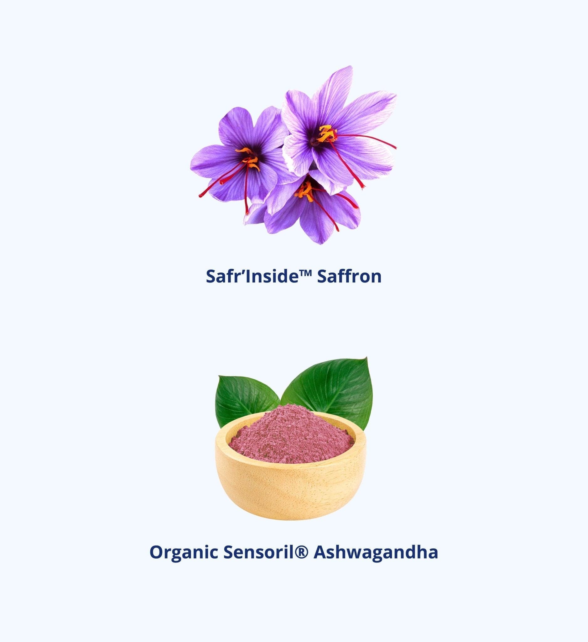 Sunshine - Natural Mood & Stress Gummies - Jupiter