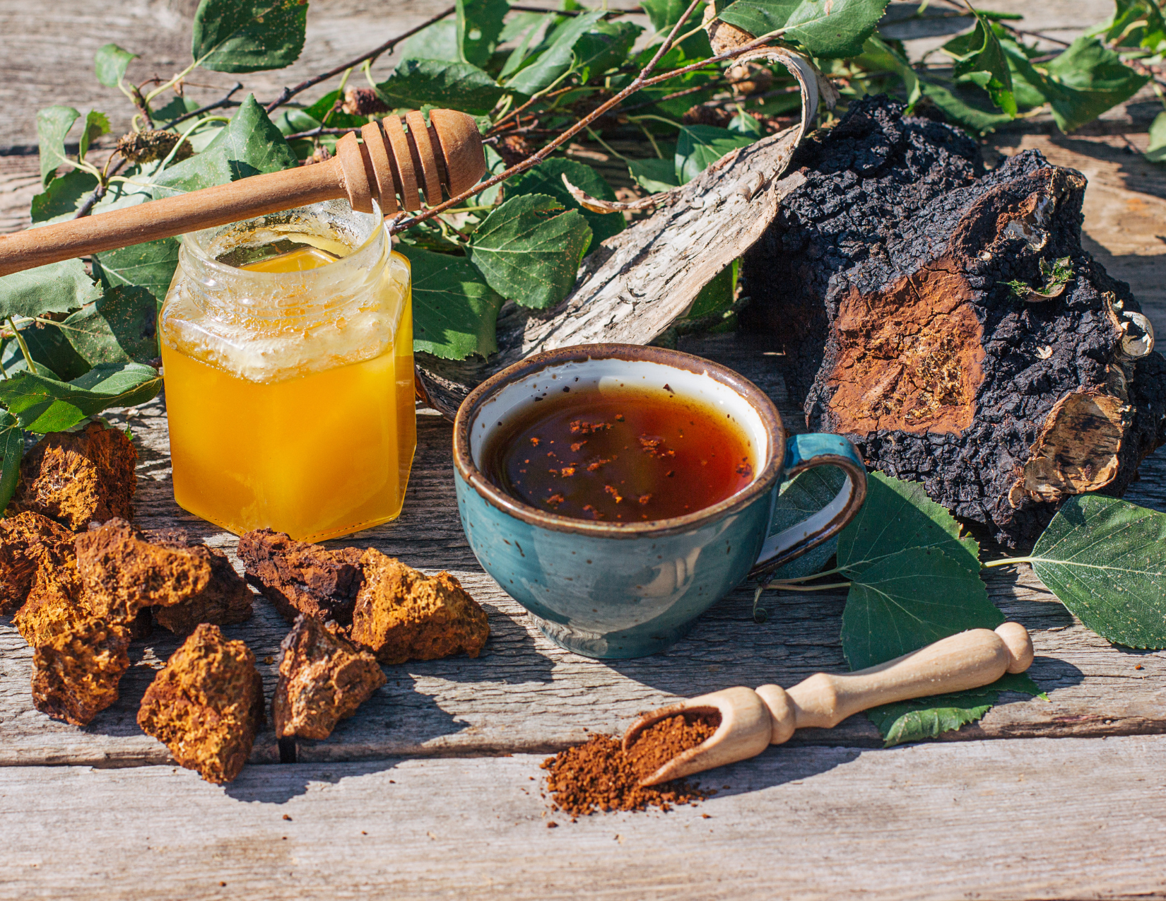 Sustainably Wild Harvested Chaga Mushroom Tea by Black Magic Alchemy