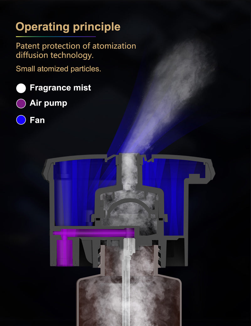 Verona (Bluetooth) by FRAGRANZA613