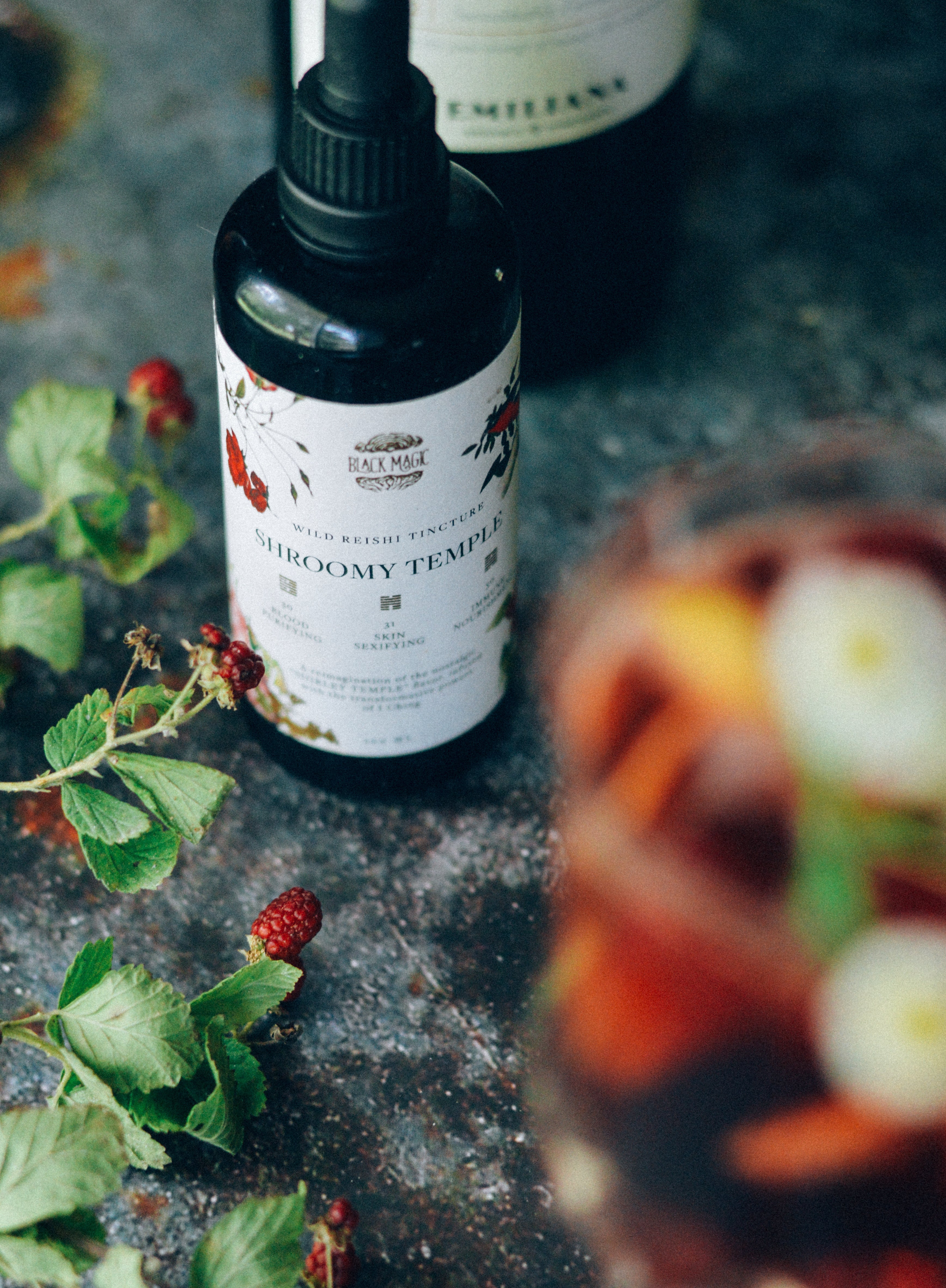 The Shroomy Temple | Wild Reishi Mushroom Tincture by Black Magic Alchemy