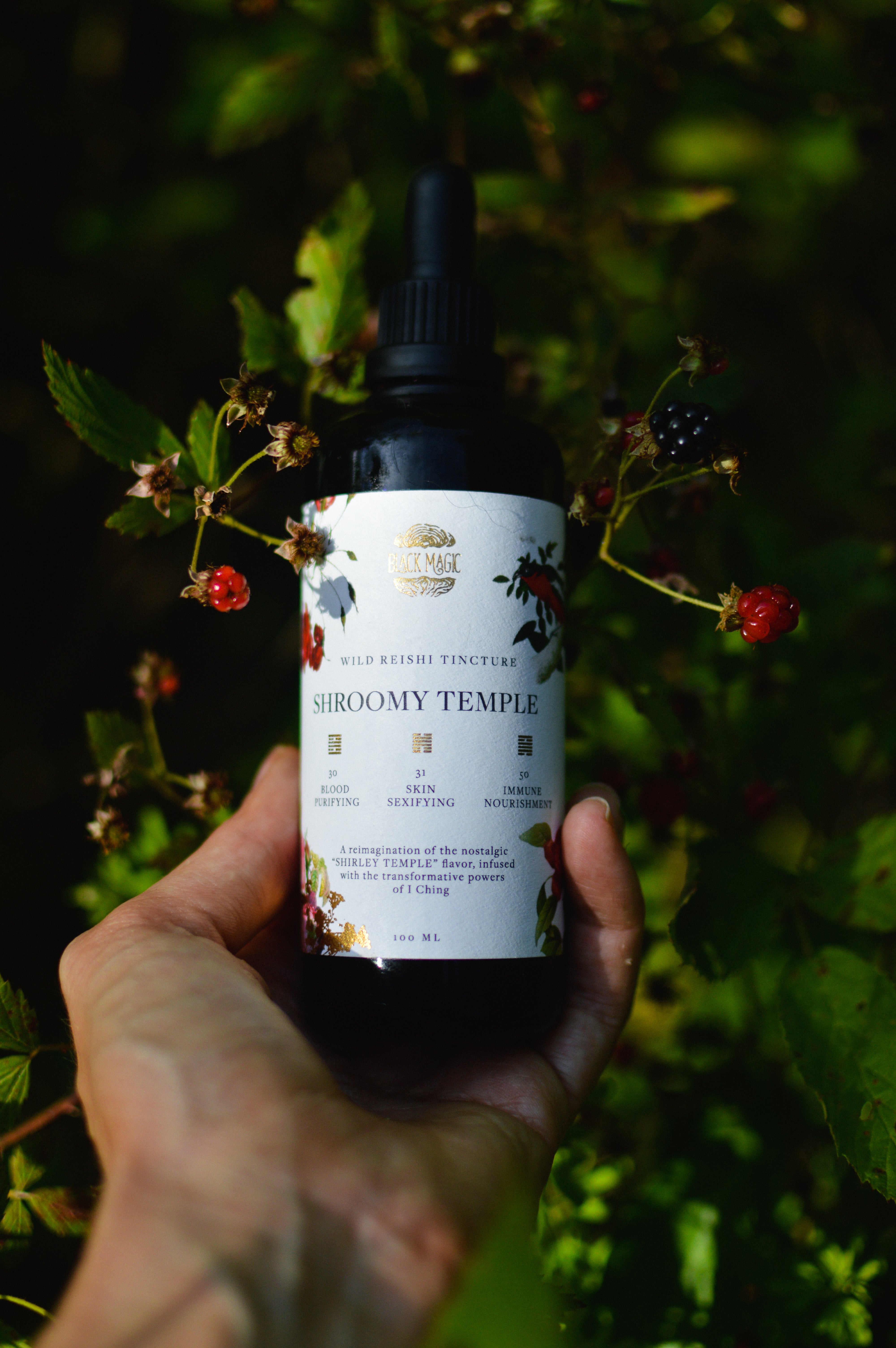 The Shroomy Temple | Wild Reishi Mushroom Tincture by Black Magic Alchemy