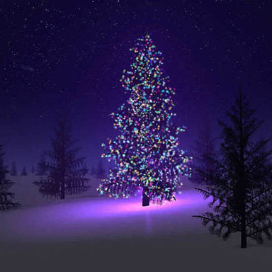  Colorful Firefly - Solar mini LED Christmas lights on Strings by VistaShops VistaShops Perfumarie
