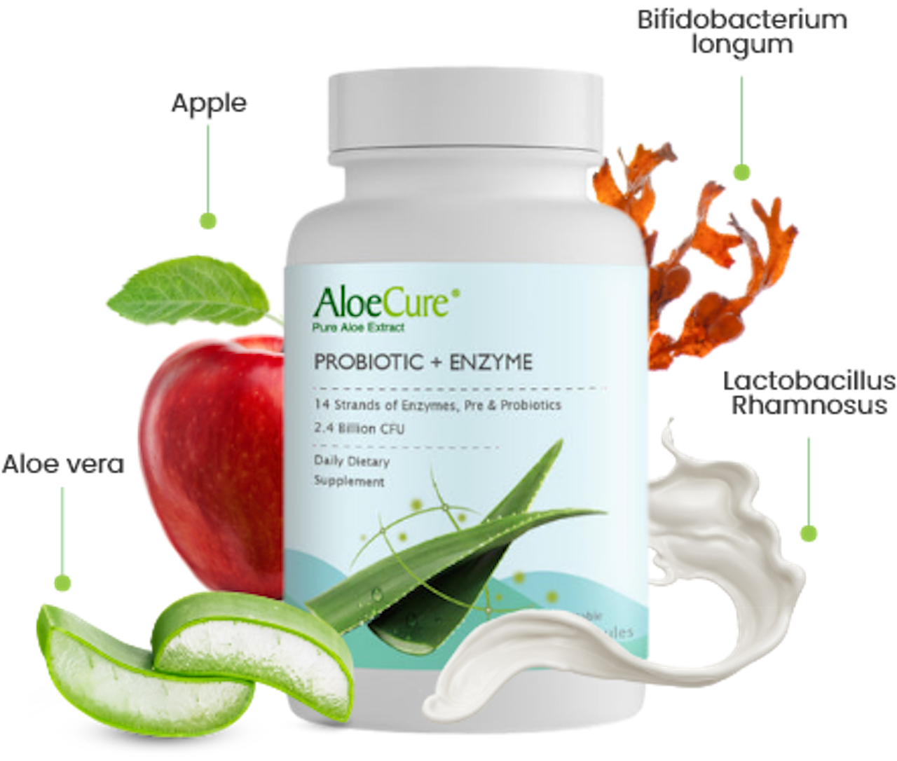 Pre+Probiotic & Digestive Enzyme Blend by AloeCure